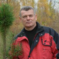 Отзыв от Георгий - DTV виза